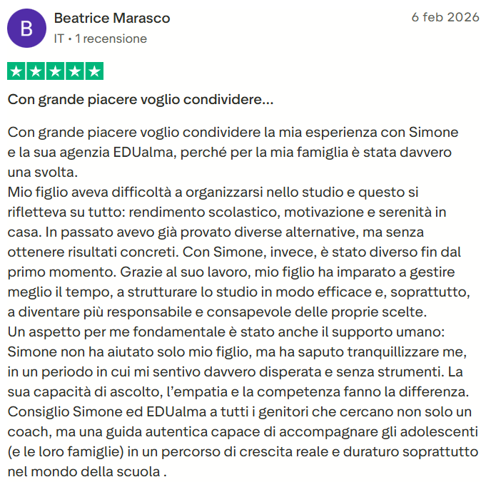 Feedback 2